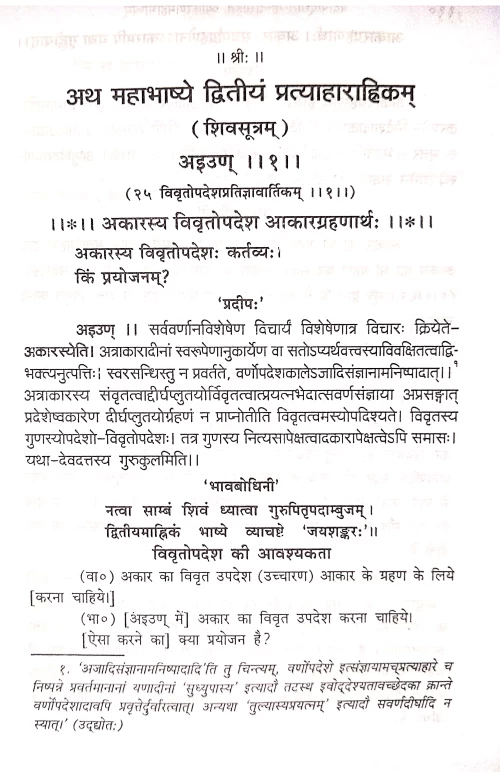 Vyakarana Mahabhasyam 2vols.